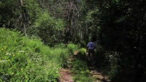 La degradación ecológica y pérdida de biodiversidad figuran entre los probables "efectos colaterales" de la reforma. Imagen: Fotograma del documental ‘Stop al expolio de los bienes comunales’