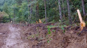 Foto: Ecologistas en Acción