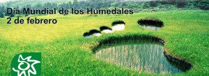 Día internacional humedales