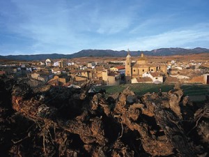 Aguarón. Foto: DPZ