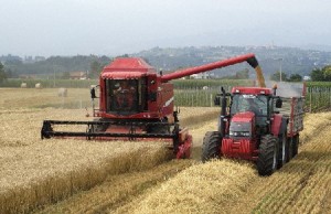 Izquierda Unida presenta hoy en las Cortes una iniciativa para facilitar el acceso a la tierra a los nuevos agricultores y fomentar el sector agrario aragonés.