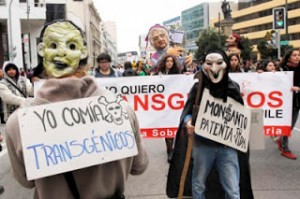 Manifestación contra Monsanto, el pasado 25 de mayo en Valparaíso (Chile).