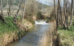 O Xiloca, en Sant Martín d’el Rio. Foto: D.Ch.A.