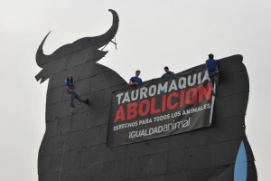 toros