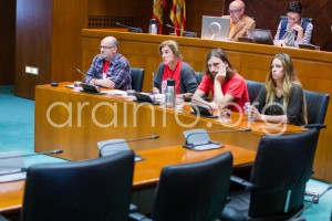 Representantes de la plataforma durante su intervención en las Cortes. Foto: Pablo Ibañez (AraInfo)