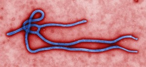 Virus del Ebola. Centro para el Control y Prevención de Enfermedades de EEUU.