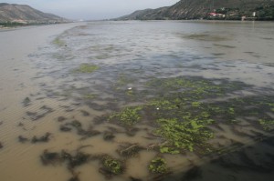 Mequinensa descenso de nivel de agua embalsada en Riba-roja