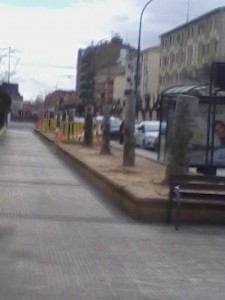 Foto: Carmen Raso