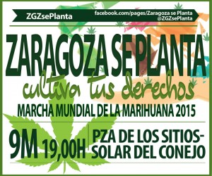 banner 800x667