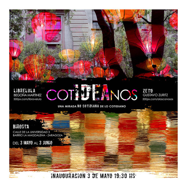 AFICHE expo cotIDEAnos en Birosta web