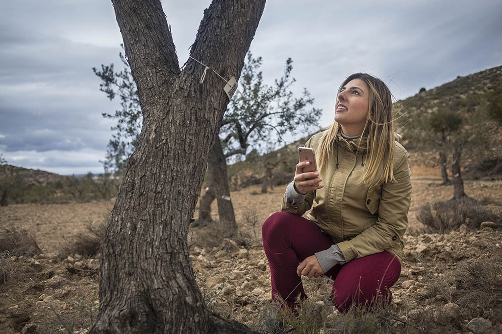 Milena Quintana es una joven madrina de uno de los olivos de "Apadrina un Olivo" en Oliete. Foto: Susana Girón