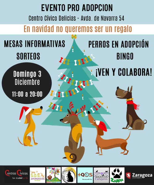Foto: SOS Animalicos Zaragoza