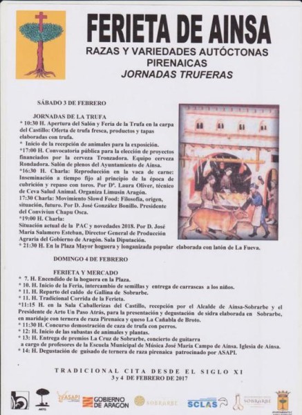 Ferieta de L'Ainsa 2