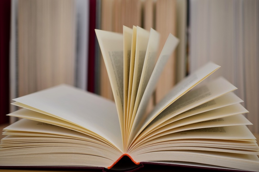 literario