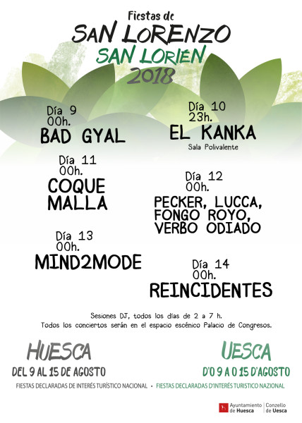 Cartel Conciertos espacio exterior Palacio de Congresos