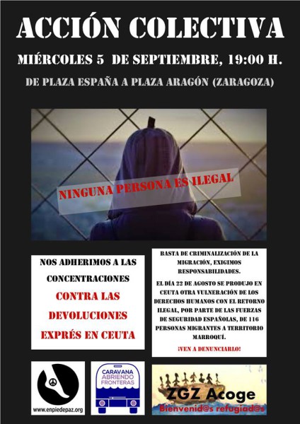 Acción colectiva