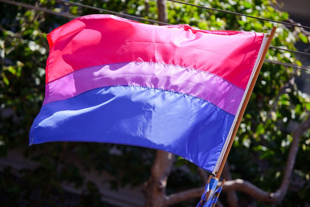 bandera bisexual