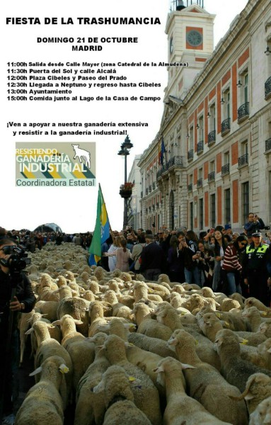 fiesta trashumancia 21O madrid