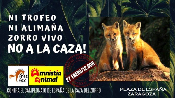 zorro Zaragoza