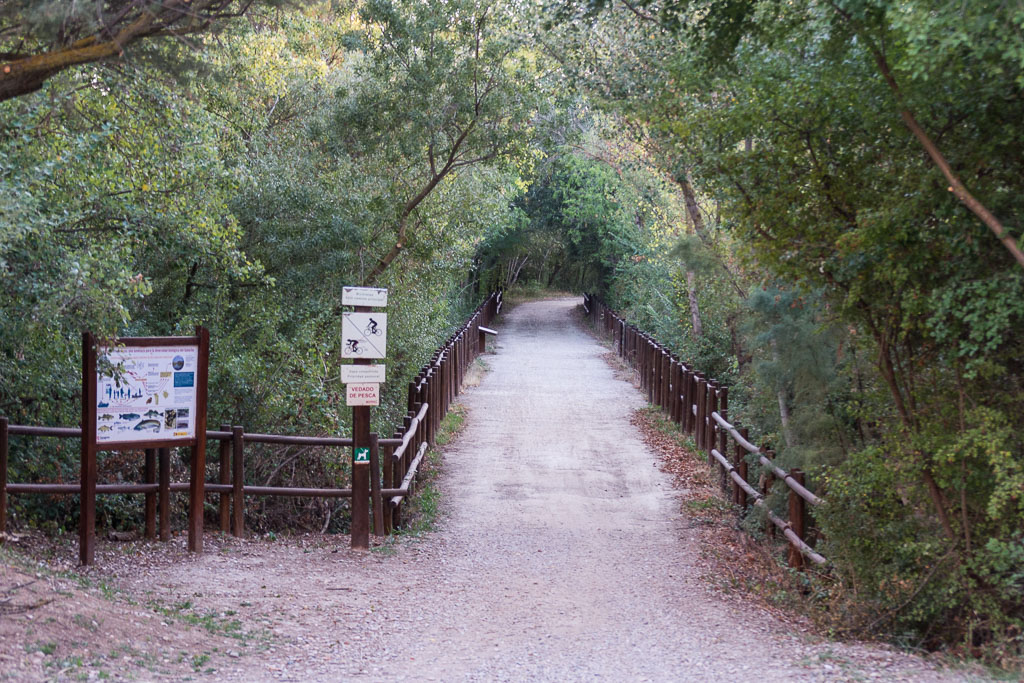 Galacho