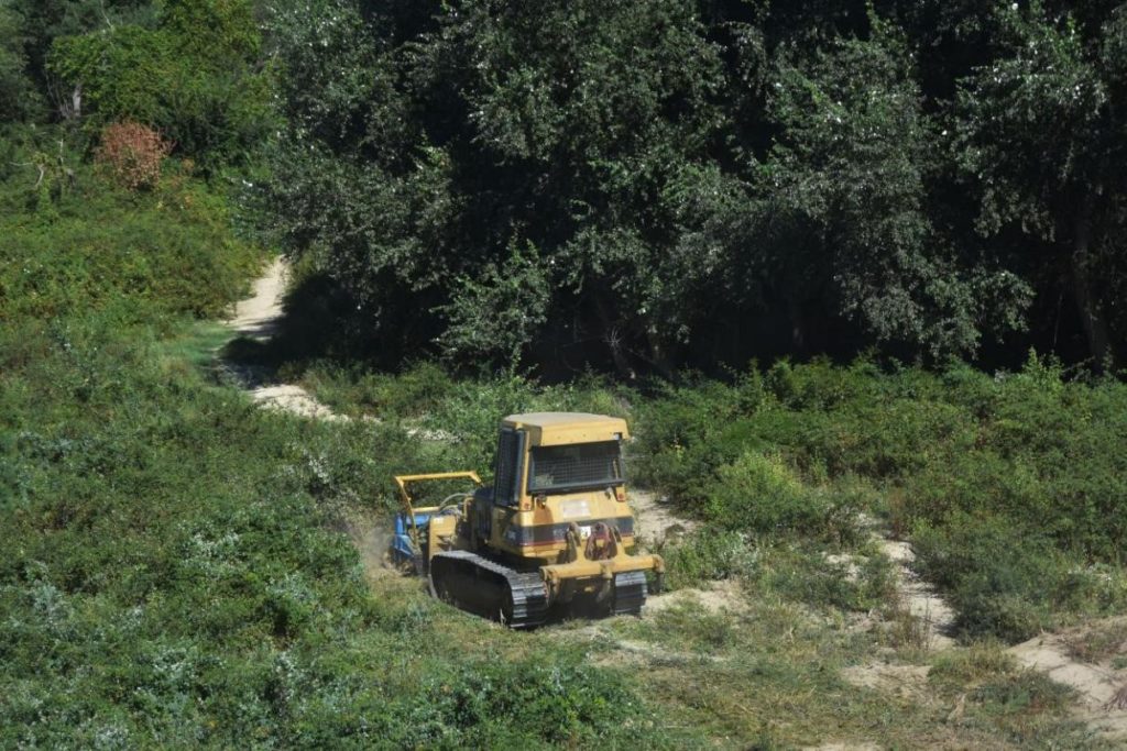 Alfocea Tierra