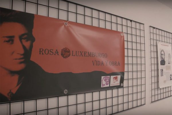 Rosa