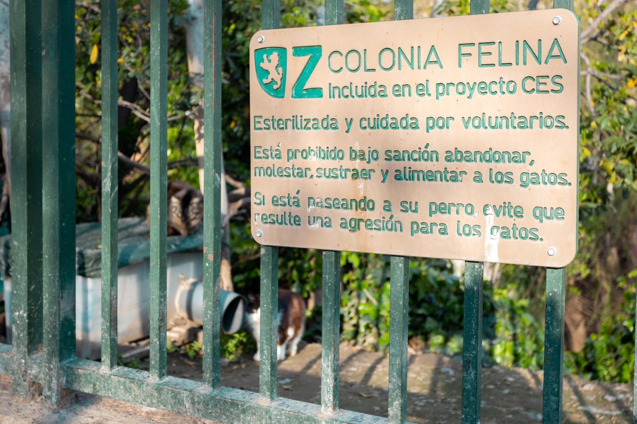 colonia