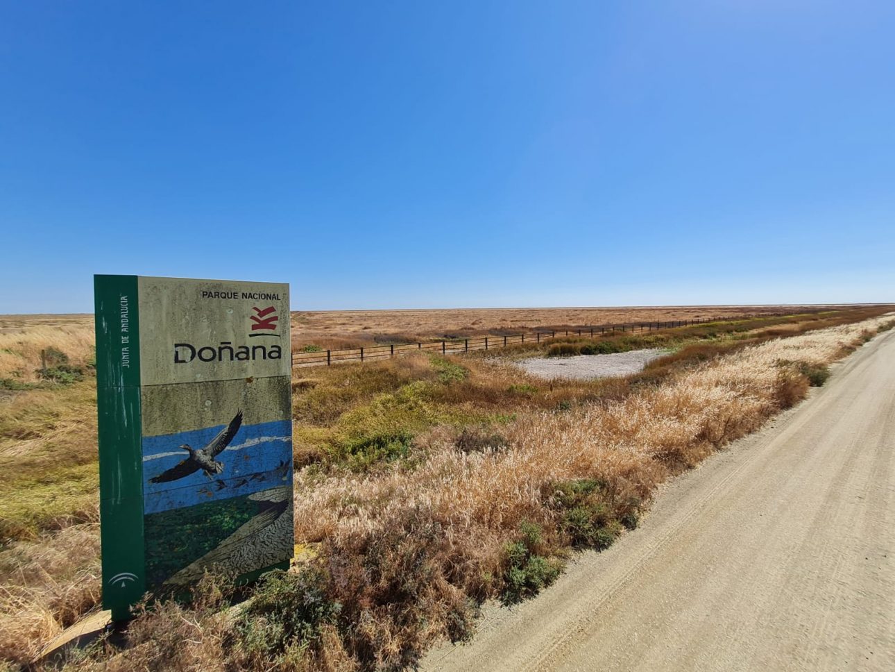 Doñana