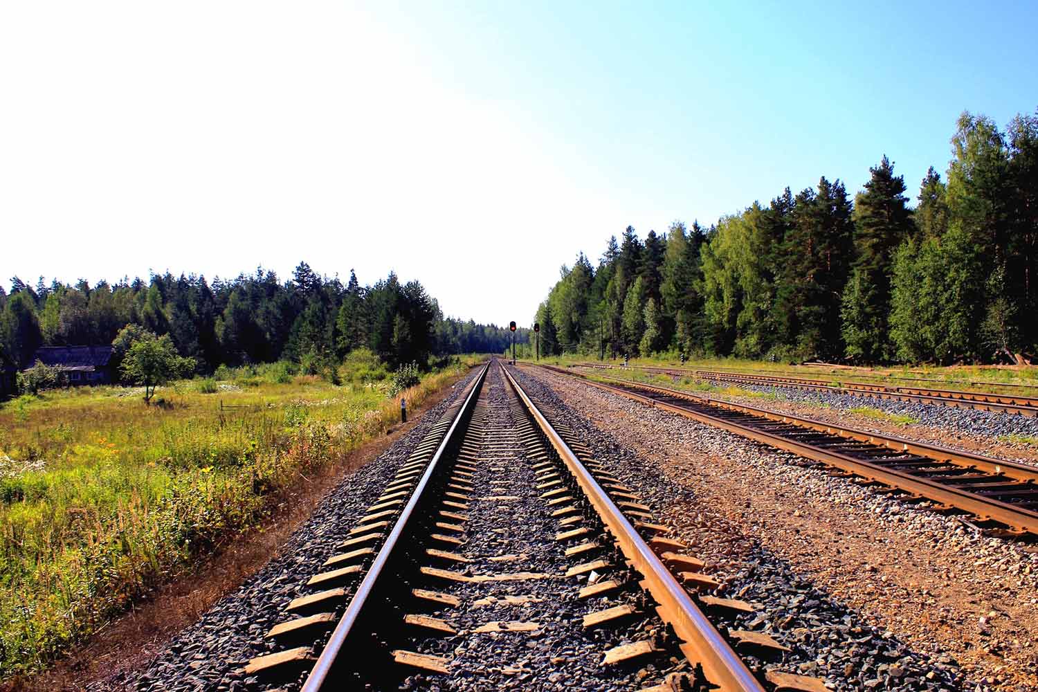 Una vía de tren rodeada a verde