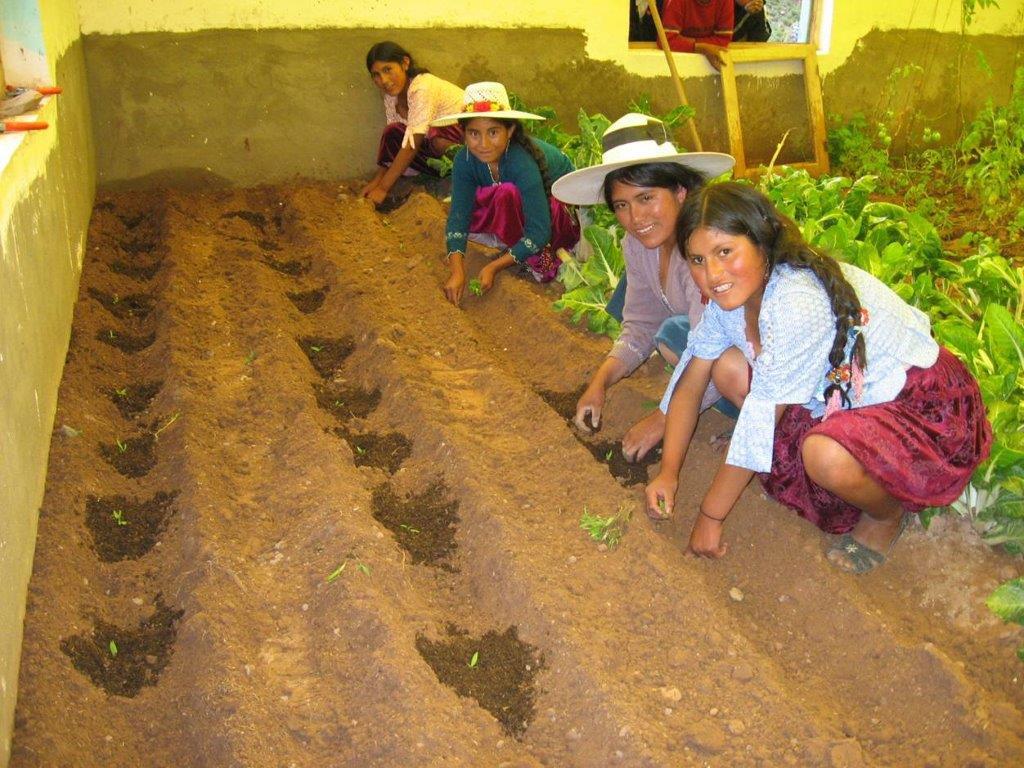 cooperación
