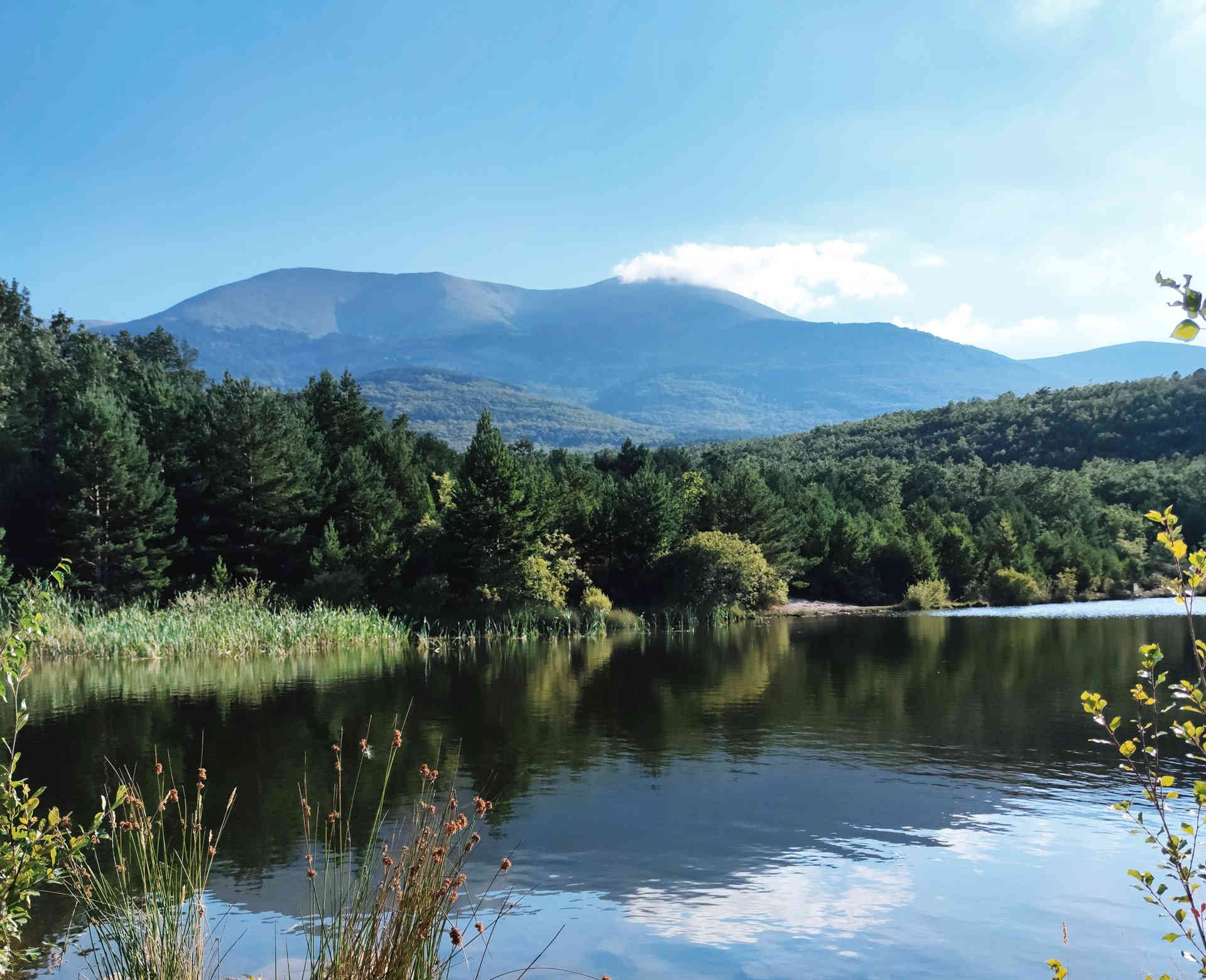 El Moncayo de fondo y uno de los acuifero amenazados por la megavaqueria de Noviercas