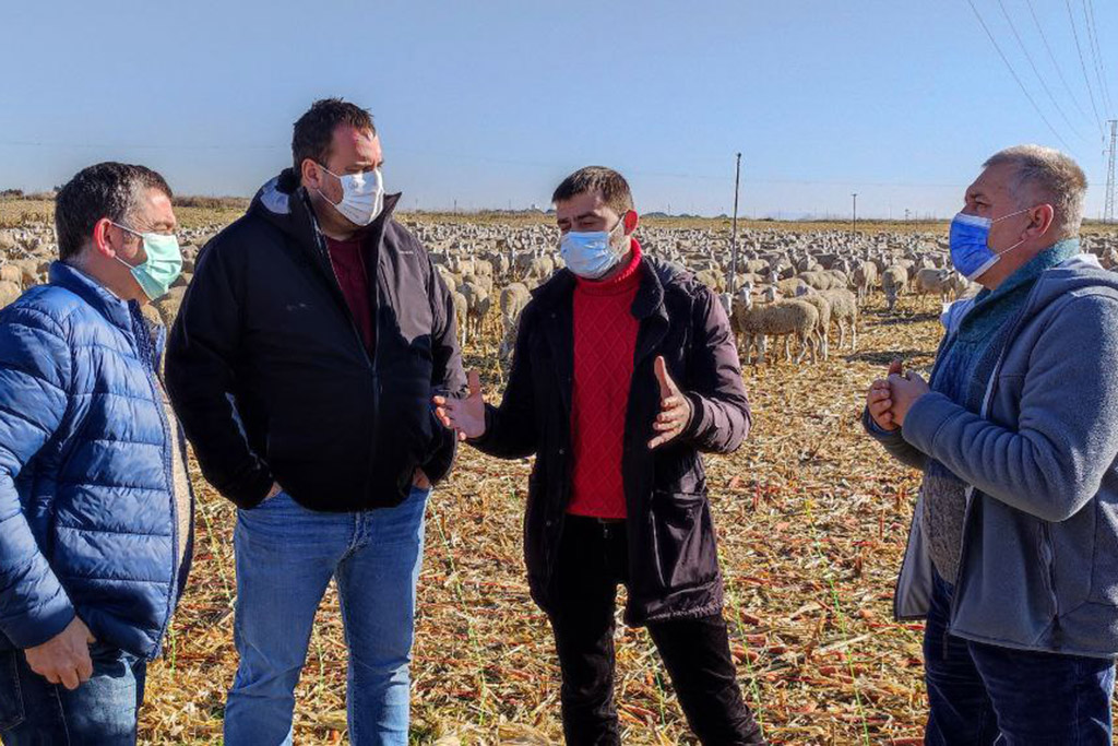 agricultura