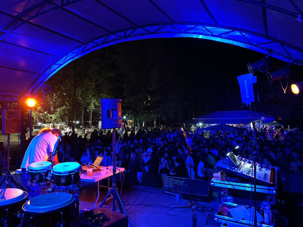 Actuación musical nocturna del festival Sahara Colour Rice