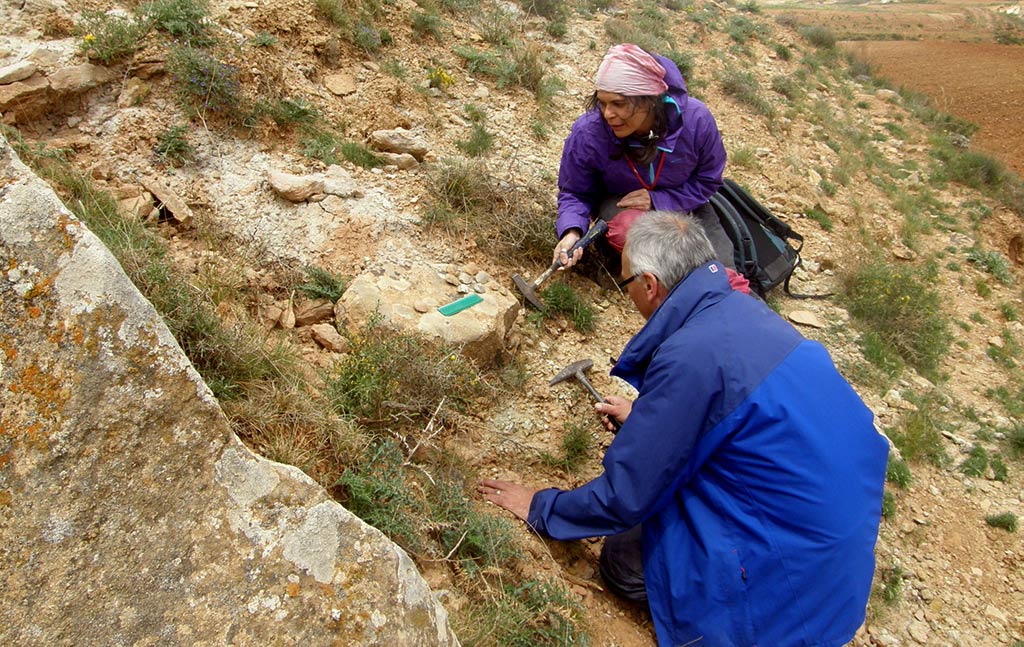Dos investigadores recogiendo muestras del suelo
