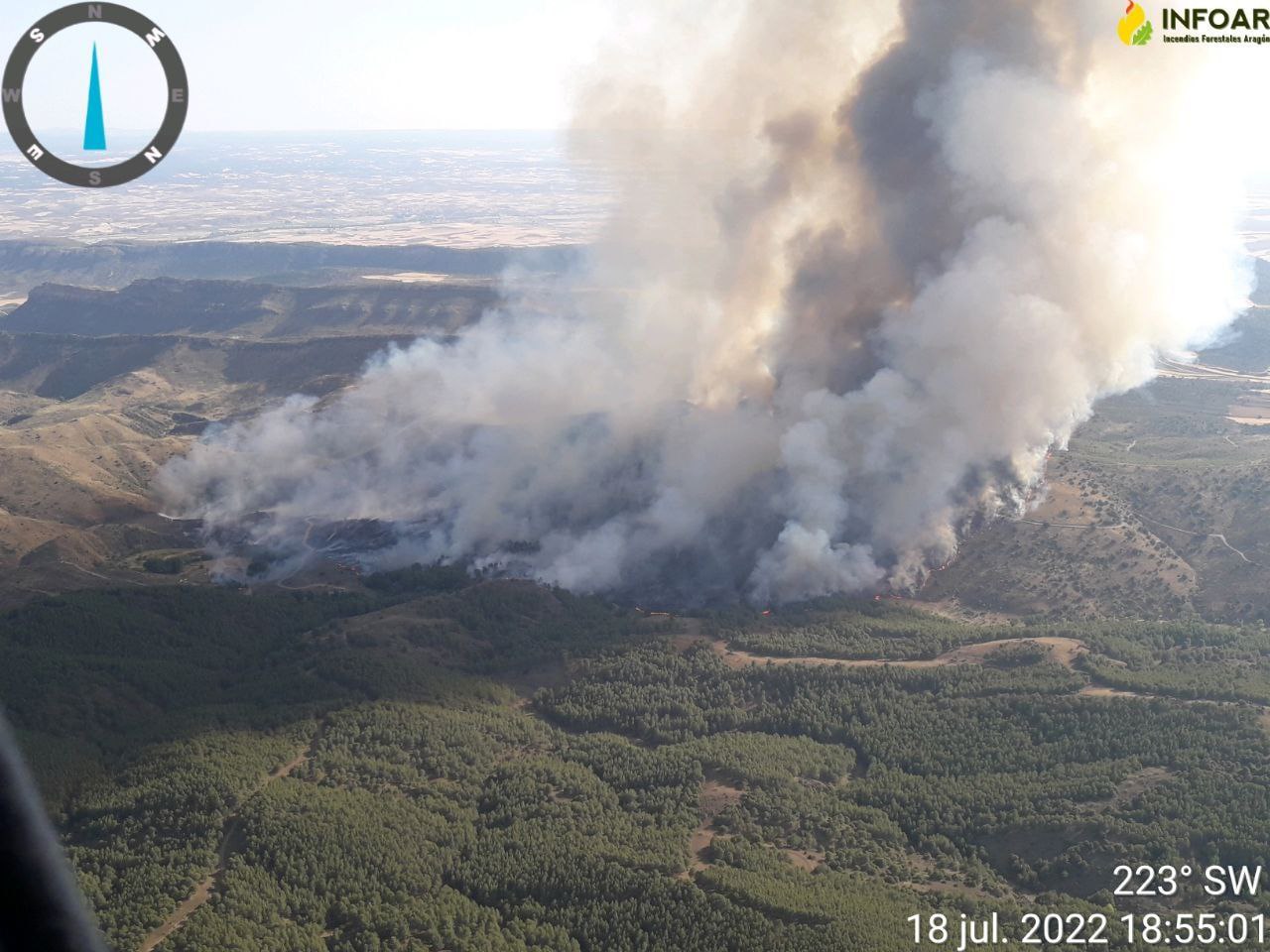 incendio de ateca con una humareda en una zona arbolada