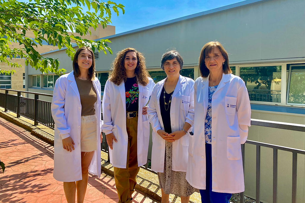 cuatro integrantes del equipo
