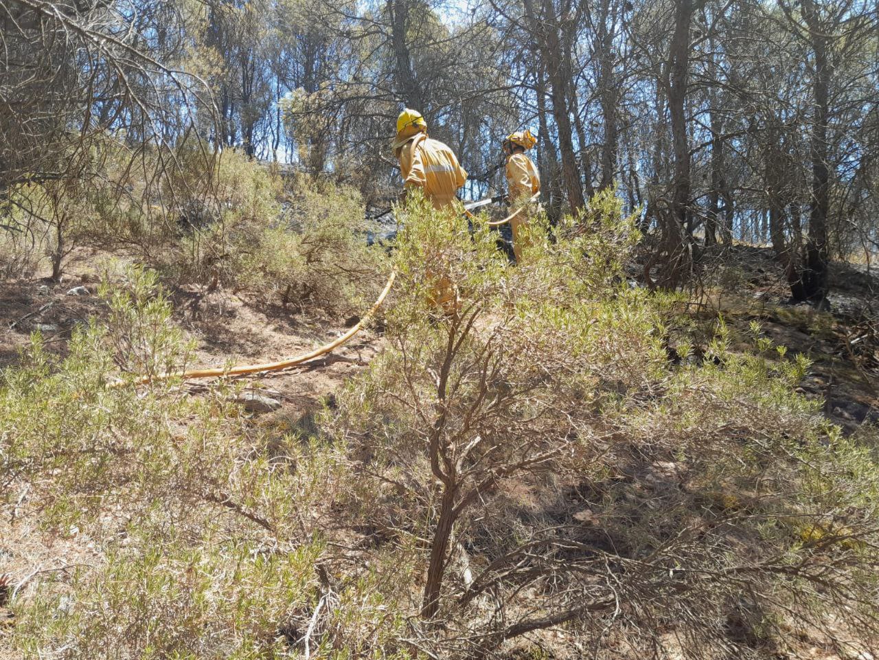 dos bomberos en la zona del incendio de Ateca