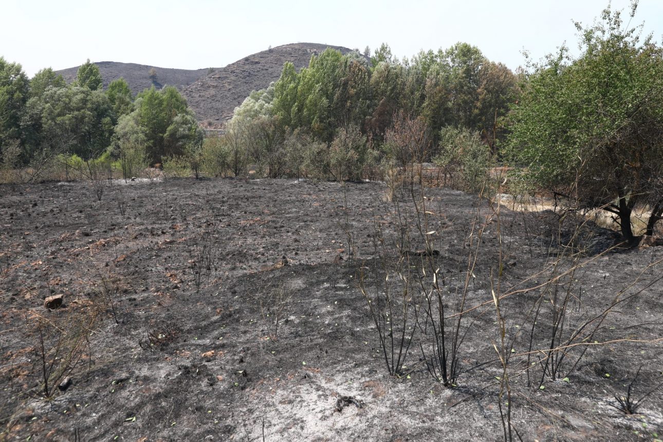 incendio