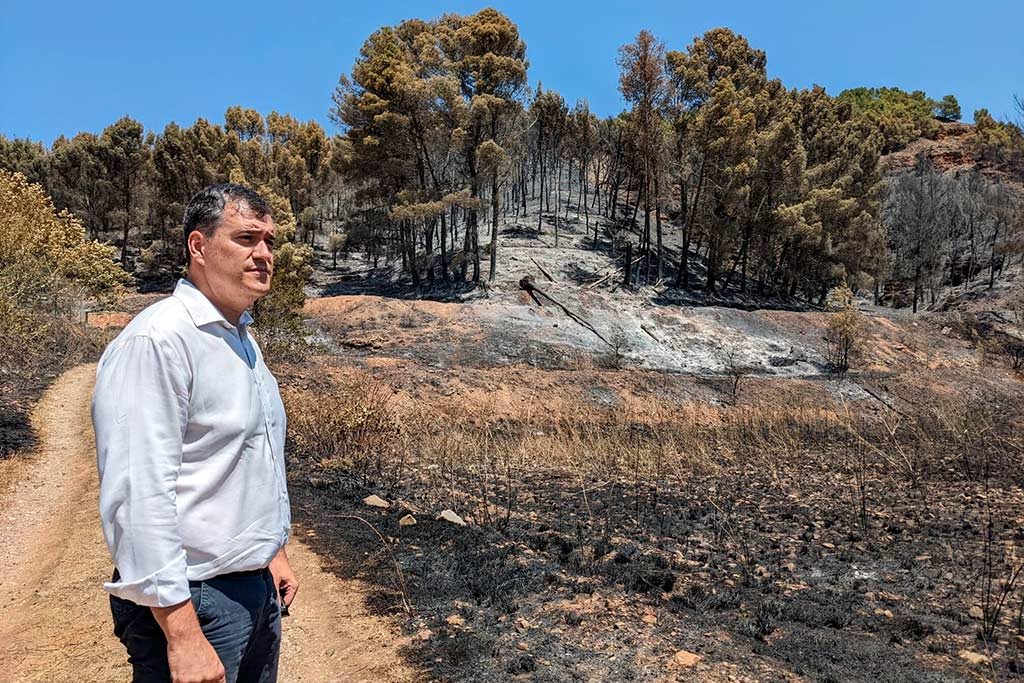 Joaquín Palacín de espaldas a la zona quemada por el incendio