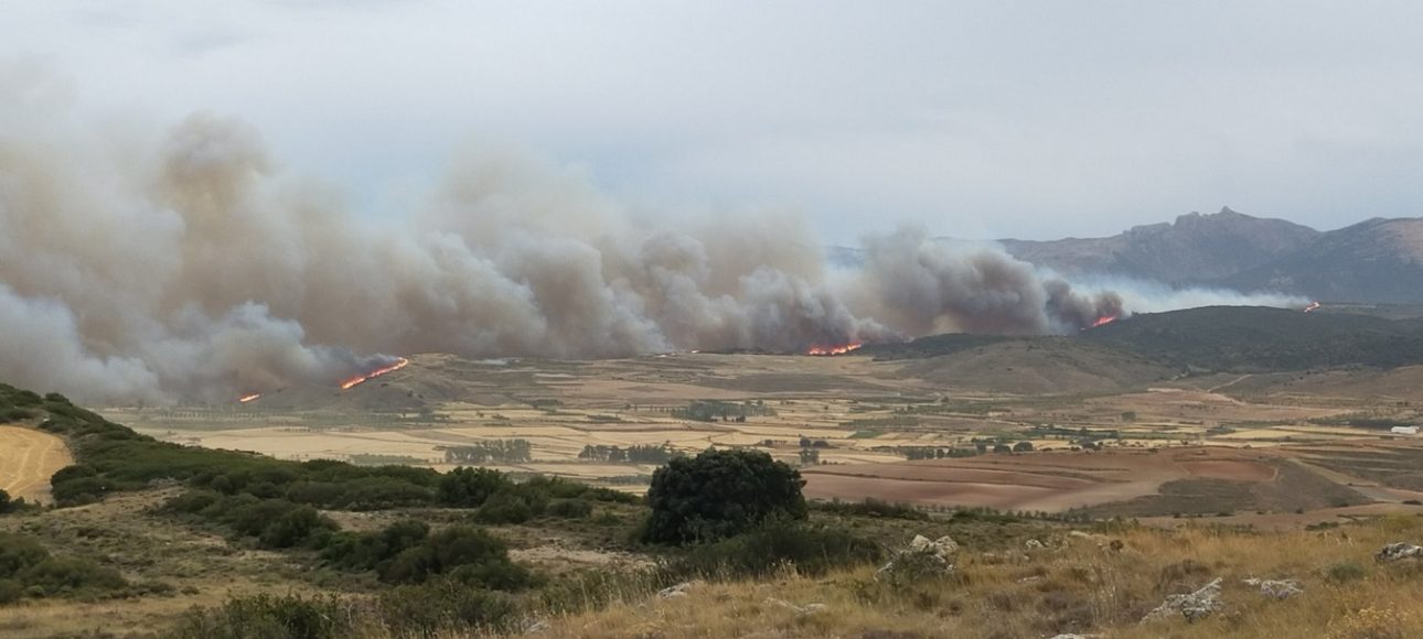 incendio forestal en el Moncayo