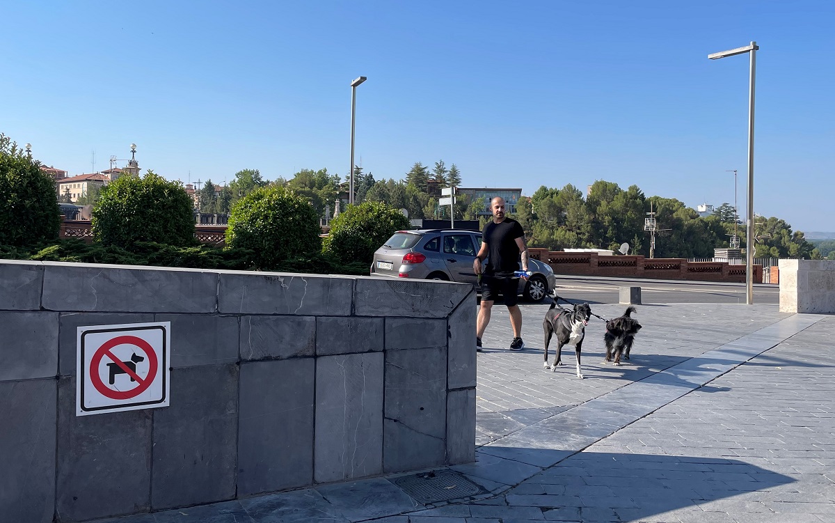 corredores de paso para las mascotas