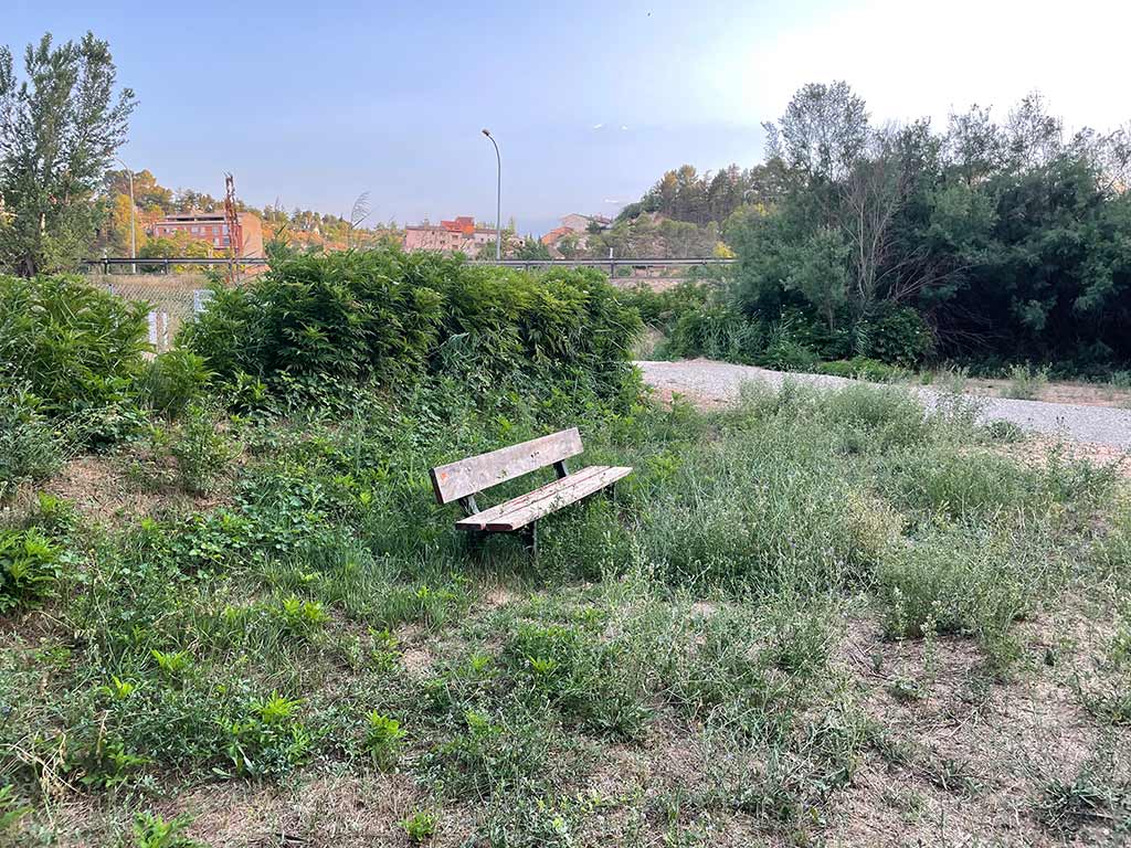 Banco en la ribera del río Turia
