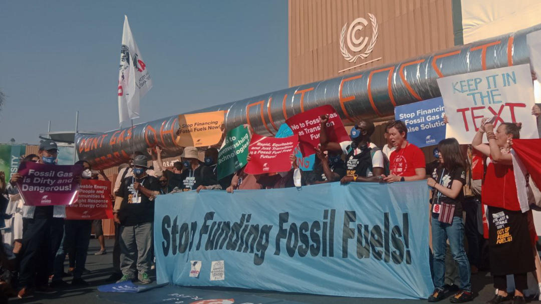 cop27