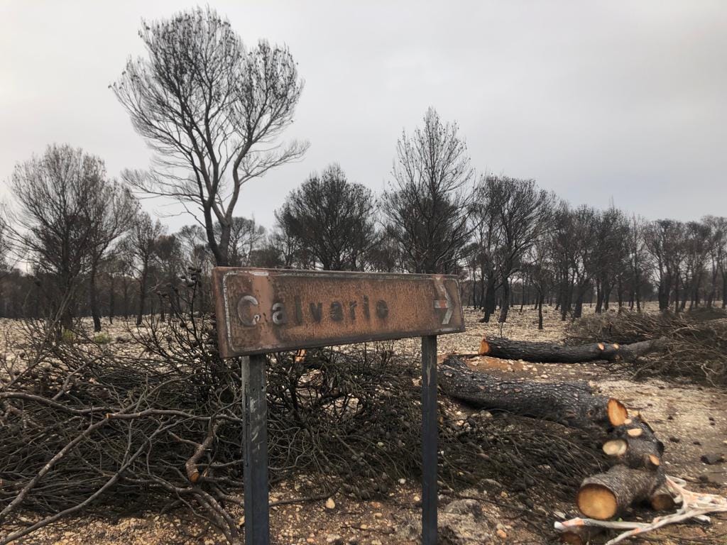 Zona del calvario del Santuario de la Misericordia devastada por un incendio