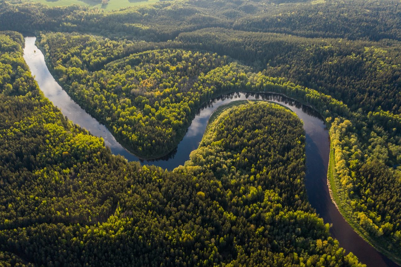 zona sin deforestación del amazonas