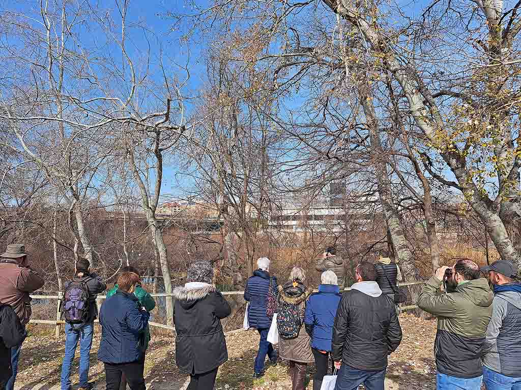 Paseo por el entorno de Zaragoza turismo | Foto: Birding Aragón.