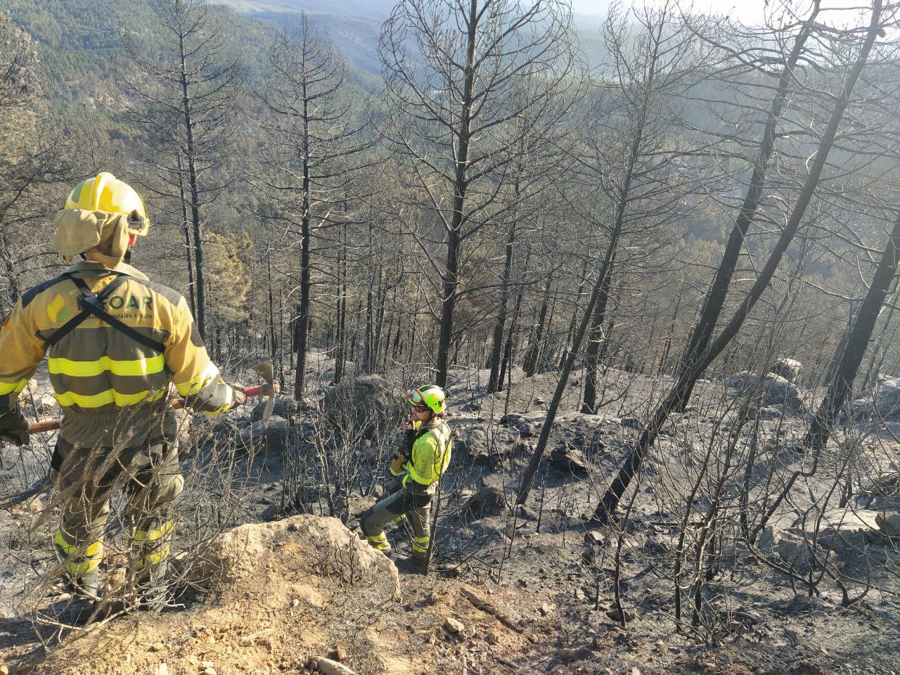 bomberos en la zona del incendio