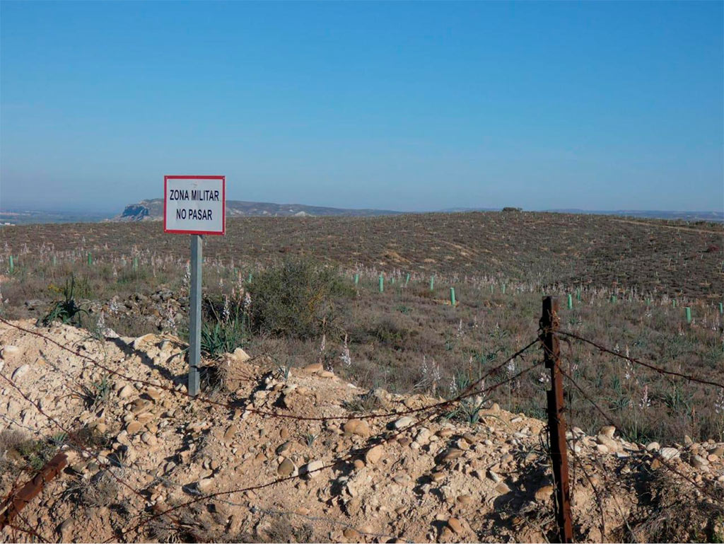 Repoblación en Monte de San Gregorio