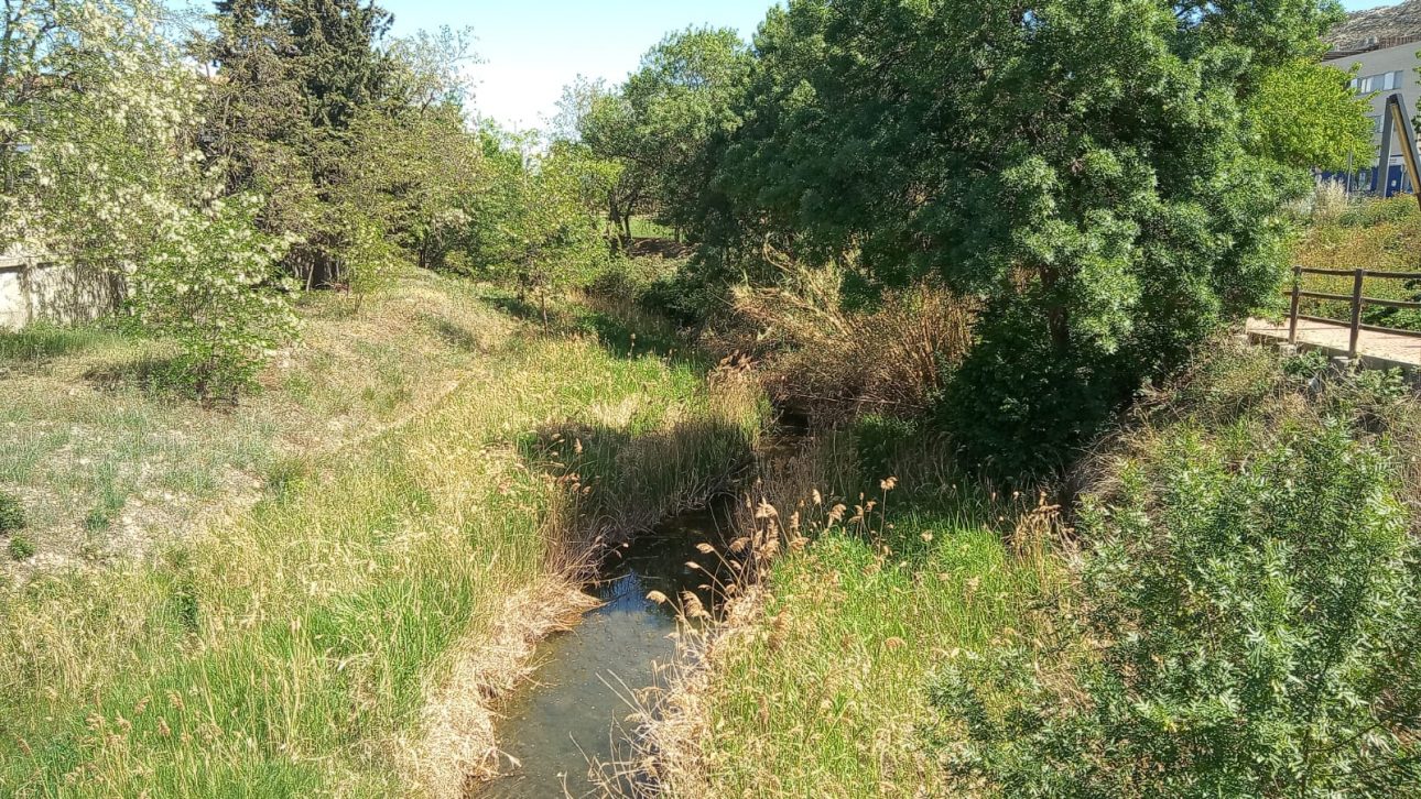 Río Huerva en Cadrete | Foto: IU.