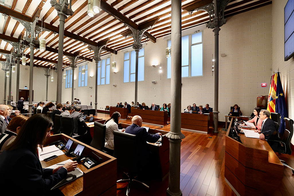 La DPZ debatirá su apoyo “a la realidad plurilingüística” de Aragón